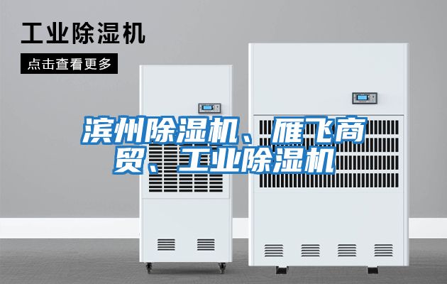濱州除濕機、雁飛商貿、工業除濕機