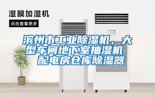 濱州市工業除濕機，大型車間地下室抽濕機  配電房倉庫除濕器