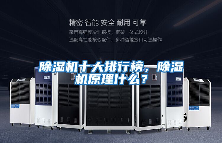 除濕機十大排行榜,除濕機原理什么?