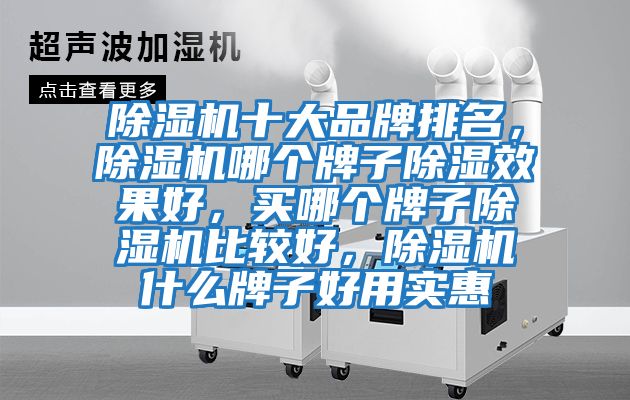 除濕機十大品牌排名，除濕機哪個牌子除濕效果好，買哪個牌子除濕機比較好，除濕機什么牌子好用實惠