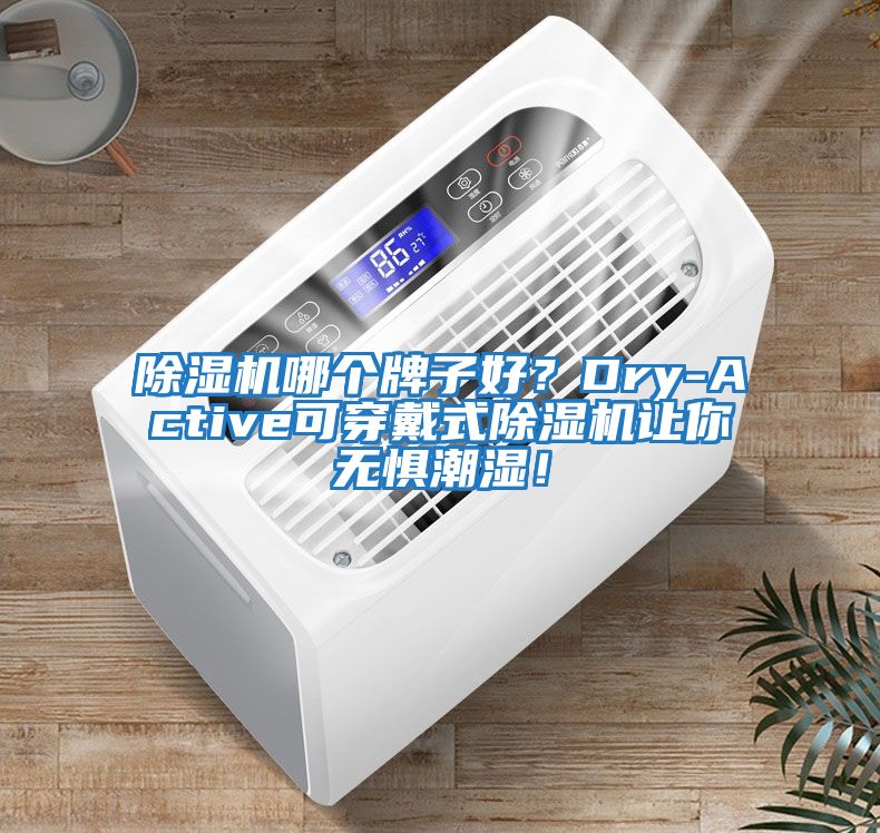 除濕機哪個牌子好？Dry-Active可穿戴式除濕機讓你無懼潮濕！