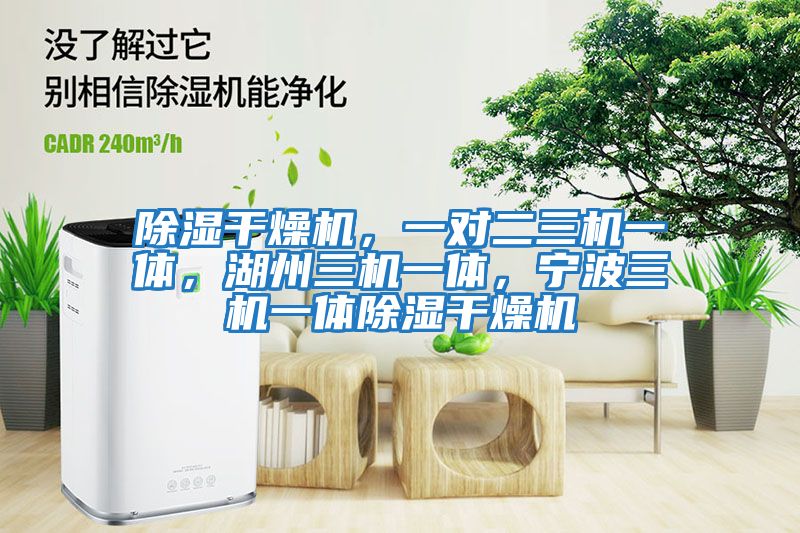 除濕干燥機，一對二三機一體，湖州三機一體，寧波三機一體除濕干燥機