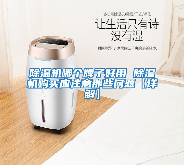 除濕機(jī)哪個(gè)牌子好用 除濕機(jī)購買應(yīng)注意那些問題【詳解】