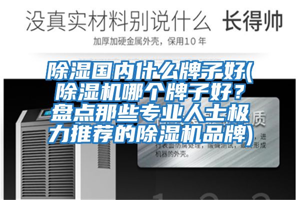 除濕國內(nèi)什么牌子好(除濕機(jī)哪個牌子好？盤點那些專業(yè)人士極力推薦的除濕機(jī)品牌)