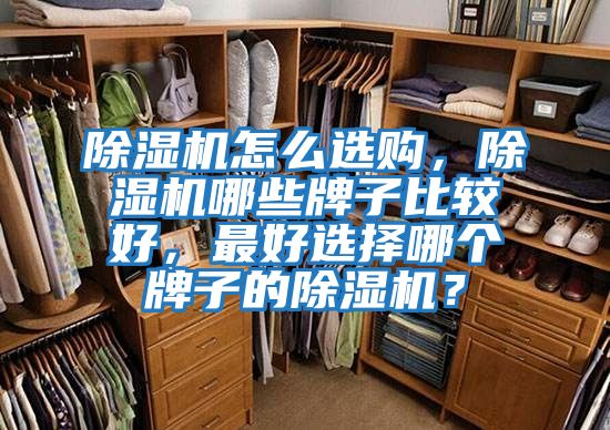 除濕機怎么選購,除濕機哪些牌子比較好,最好選擇哪個牌子的除濕機?