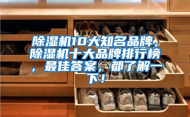 除濕機10大知名品牌，除濕機十大品牌排行榜，最佳答案，都了解一下！