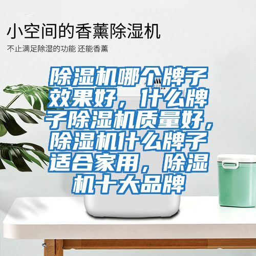 除濕機哪個牌子效果好，什么牌子除濕機質量好，除濕機什么牌子適合家用，除濕機十大品牌