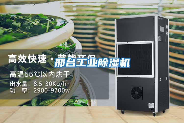 邢臺工業除濕機