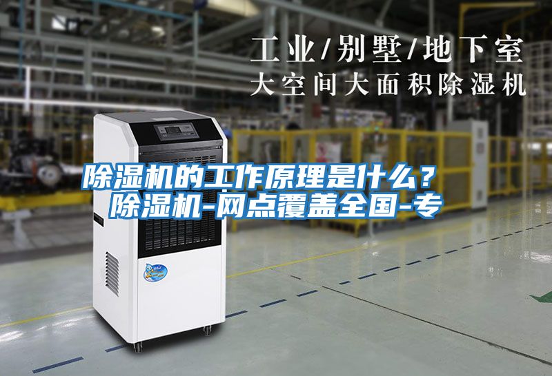 除濕機(jī)的工作原理是什么？ 除濕機(jī)-網(wǎng)點(diǎn)覆蓋全國(guó)-專