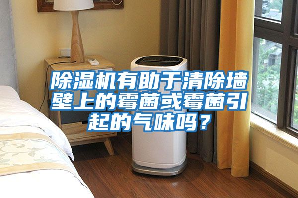 除濕機有助于清除墻壁上的霉菌或霉菌引起的氣味嗎？