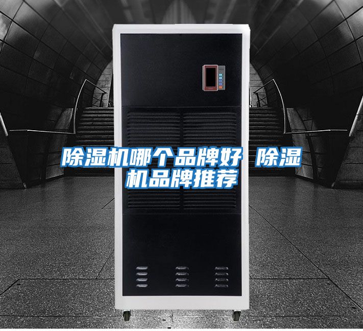 除濕機(jī)哪個品牌好 除濕機(jī)品牌推薦