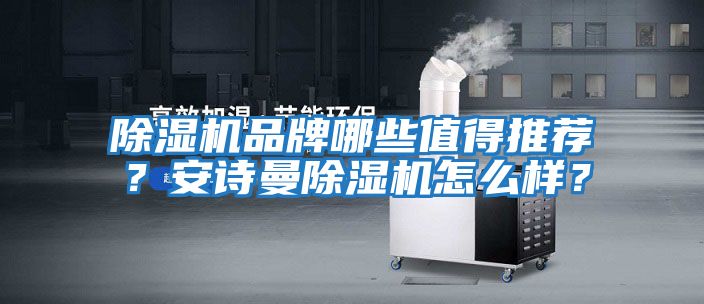 除濕機品牌哪些值得推薦？安詩曼除濕機怎么樣？