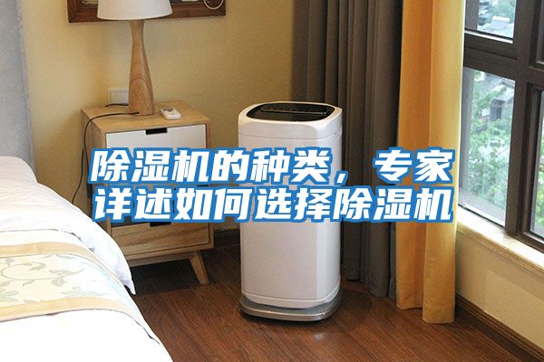 除濕機的種類，專家詳述如何選擇除濕機