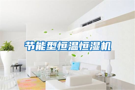 節能型恒溫恒濕機