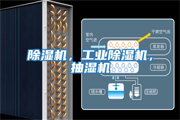 除濕機(jī),工業(yè)除濕機(jī),抽濕機(jī)
